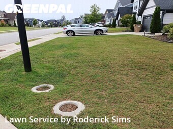 Yard Mowing nearby Hoschton, GA, 