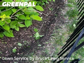 Yard Mowingin Oak Park,60304,Lawn Care Service by Bruce Lawn Service, work completed in Jul , 2026