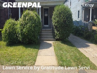 Lawn Care Service nearby Buffalo, NY, 