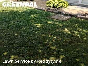 Yard Cutting nearby Louisville, KY, 