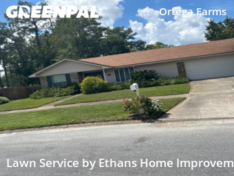 Grass Cutting nearby Jacksonville, FL, 