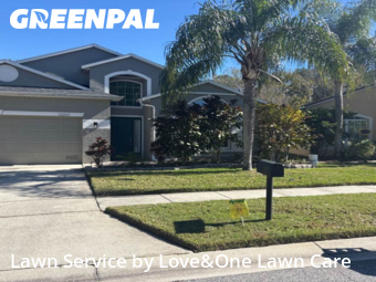 Grass Cutin Orlando,32825,Grass Cutting by Love&One Lawn Care, work completed in Jan , 2026