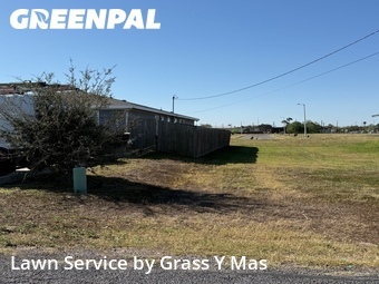 Yard Mowing nearby Harlingen, TX, 