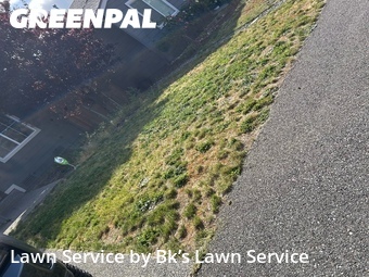 Lawn Mowing nearby Puyallup, WA, 