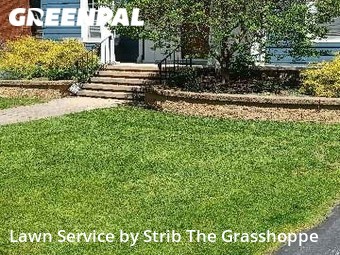 Yard Cutting nearby Cleveland Heights, OH, 