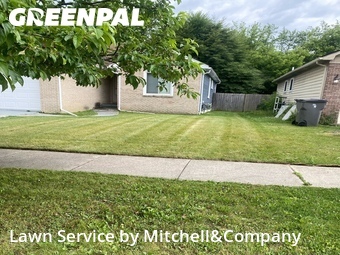 Grass Cut nearby Clinton Township, MI, 