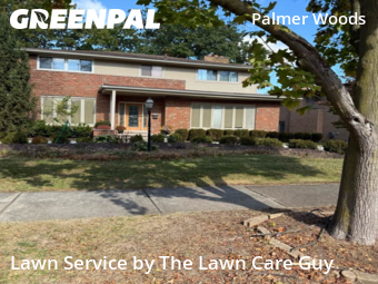Yard Upkeep in Detroit, 48203, Lawn Upkeep by The Lawn Care Guy , work completed in Nov , 2025