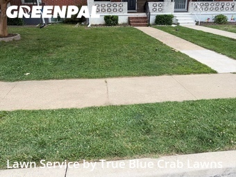 Lawn Maintenance nearby Essex, MD, 