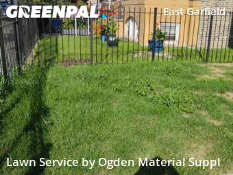 Grass Cut nearby Chicago, IL, 