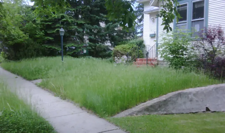 ​Is it Legal? Fines, Liens, and Foreclosure for not mowing the grass.