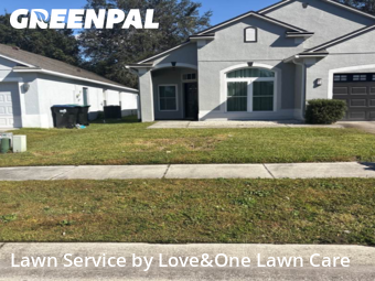 Lawn Mow nearby Orlando, FL, 