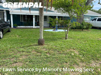 Lawn Mow nearby Clearwater, FL, 