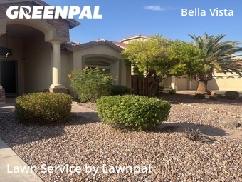 Lawn Cut nearby Gilbert, AZ, 