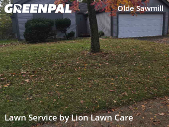 Lawn Mowing Service nearby Dublin, OH, 