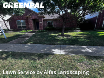 Lawn Cuttingin The Colony,75056,Lawn Cut by Alfas Landscaping, work completed in Dec , 2025