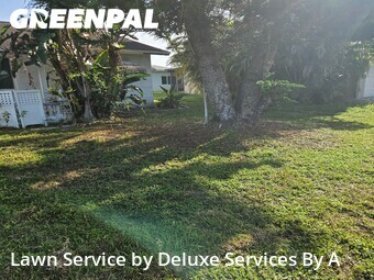 Lawn mowed in Tamarac, 33321