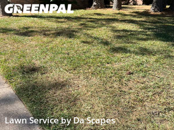 Lawn Care Service nearby Cypress, TX, 
