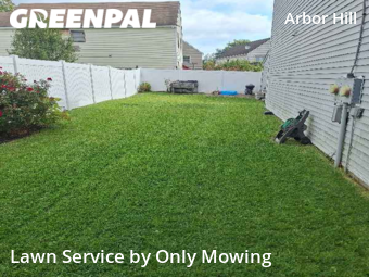 Yard Mowing nearby Albany, NY, 