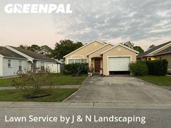 Grass Cut nearby Tampa, FL, 