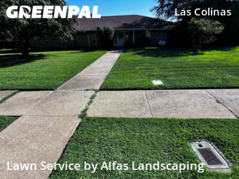 Lawn Care Servicein Irving,75038,Lawn Mowing Service by Alfas Landscaping, work completed in Dec , 2025