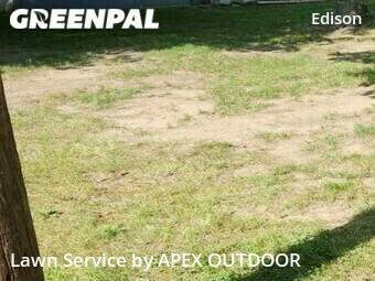 Lawn Care Service nearby Kalamazoo, MI, 