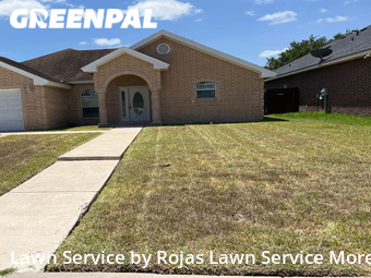 Lawn Cut nearby Harlingen, TX, 