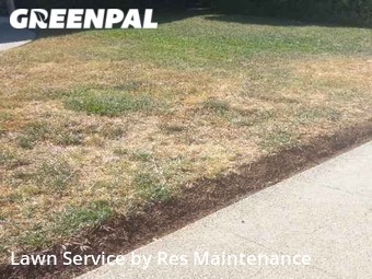 Yard Cutting nearby Sacramento, CA, 