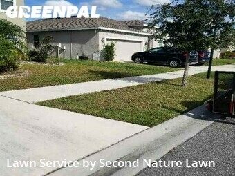 Lawn Cut nearby Gibsonton, FL, 