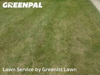 Yard Cutting nearby Spring Hill, TN, 