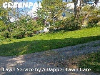 Grass Cut nearby Bellingham, WA, 