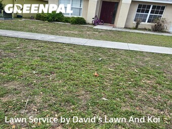 Yard Cutting nearby Tavares, FL, 