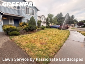 Lawn mowed in Lacey, 98503