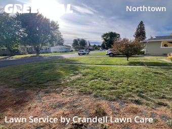 Yard Upkeep in Spokane, 99205, Weekly Mowing by Crandell Lawn Care, work completed in Nov , 2025