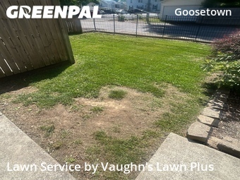 Grass Cutting nearby Evansville, IN, 