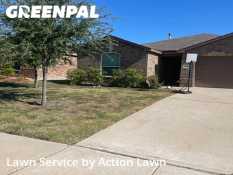 Lawn Mow nearby Forney, TX, 