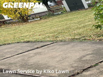 Grass Cut nearby Minneapolis, MN, 