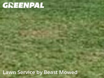 Yard Cutting nearby Saint Petersburg, FL, 