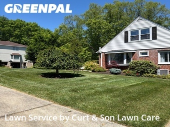 Lawn Cutting nearby Allentown, PA, 