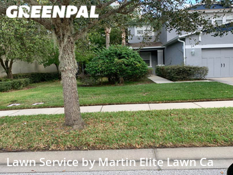 Lawn Care nearby Wesley Chapel, FL, 