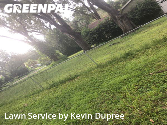 Lawn Cut nearby Tampa, FL, 