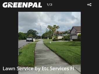 Lawn Carein Oldsmar,34677,Yard Cutting by Etc Services Fl, work completed in Jun , 2026