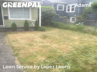 Yard Mowing nearby Seattle, WA, 