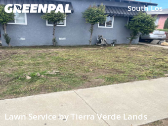 Work completed by affordable-lawn-services-in-Los Angeles-CA