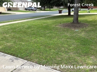 Grass Cutting nearby Round Rock, TX, 