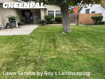 Landscaping Cleanup In Stockton,95210,Landscaping Maintenance by Roy's Landscaping, work completed in Dec , 2025