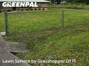Lawn Mowing nearby Mulberry, FL, 