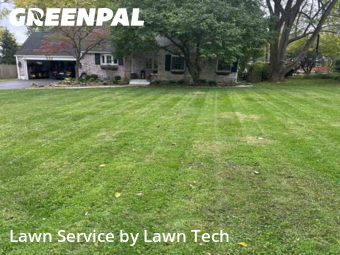 Grass Care in Kettering, 45429, Yard Care by Lawn Tech, work completed in Oct , 2025