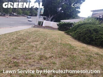 Grass Cut nearby San Diego, CA, 