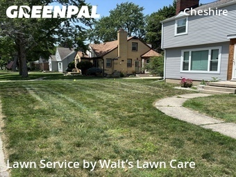 Lawn Maintenance nearby Grand Rapids, MI, 