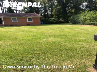 Grass Cut nearby Jacksonville, NC, 